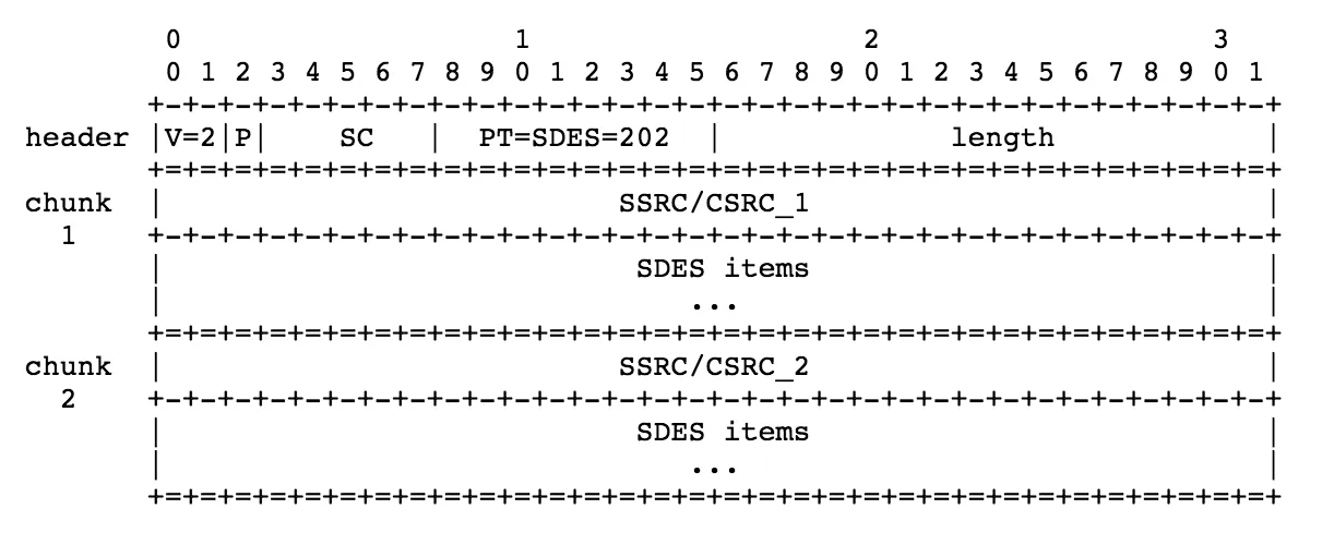 rtp-sdes